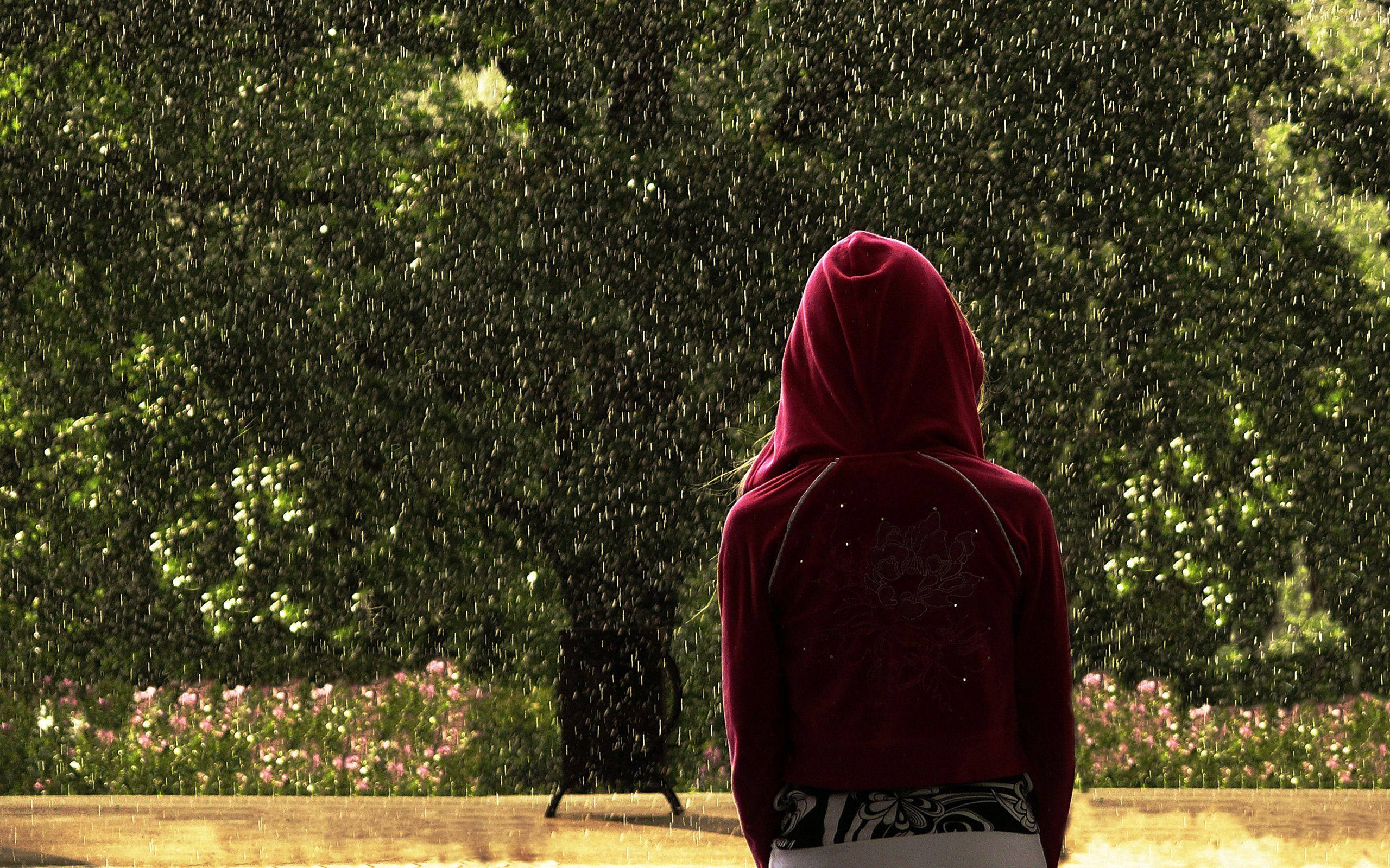 Raining 桌布 壁紙 — 一個穿著紅色連帽衫的人獨自站在落雨中，背景有綠樹和粉紅花朵。