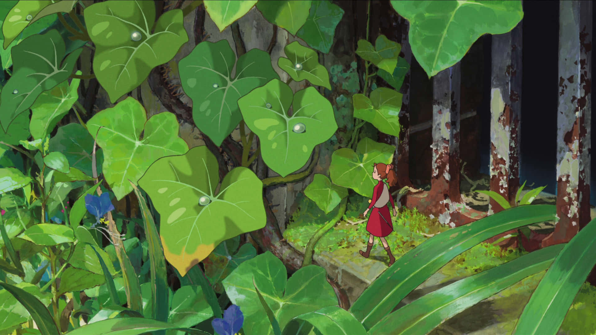 The Secret World Of Arrietty 桌布 壁紙 — 一個穿著紅色連衣裙的小女孩走過一片綠意盎然、樹葉碩大且帶有露珠的森林。