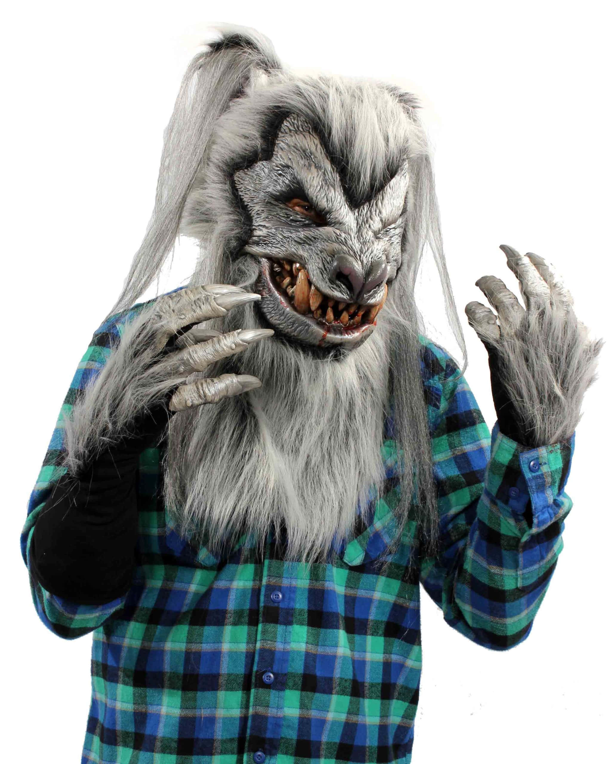 Werewolf Costumes 桌布 壁紙 — 一個穿著細緻灰色狼人服裝、擁有鋒利爪子和露出牙齒的人，在白色背景前穿著藍綠色格紋襯衫。