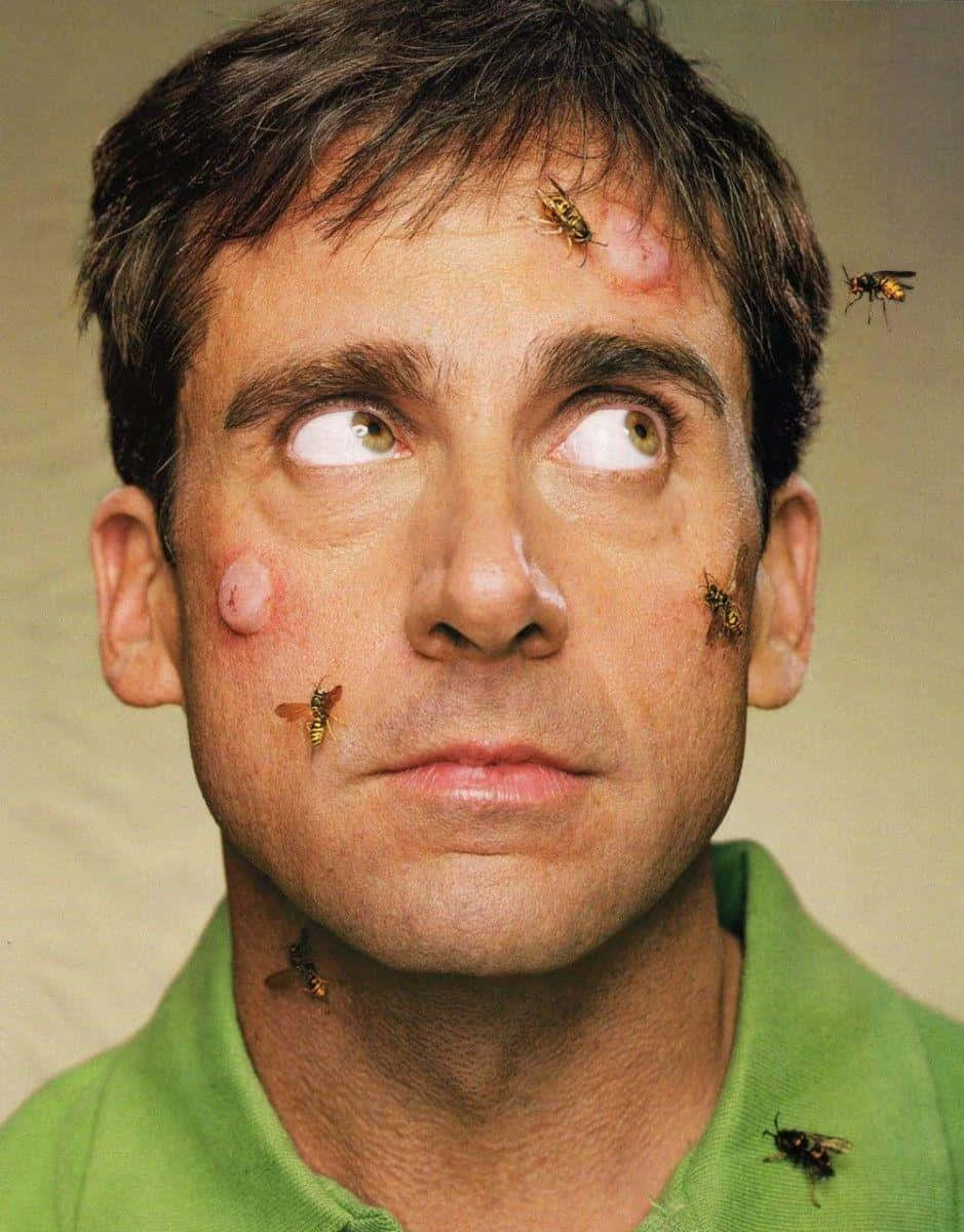 steve carell 桌布 壁紙 — 一個穿著綠色Polo衫的男人，憤怒的黃蜂在他臉部和頸部周圍嗡嗡作響，他睜大眼睛向上凝視。