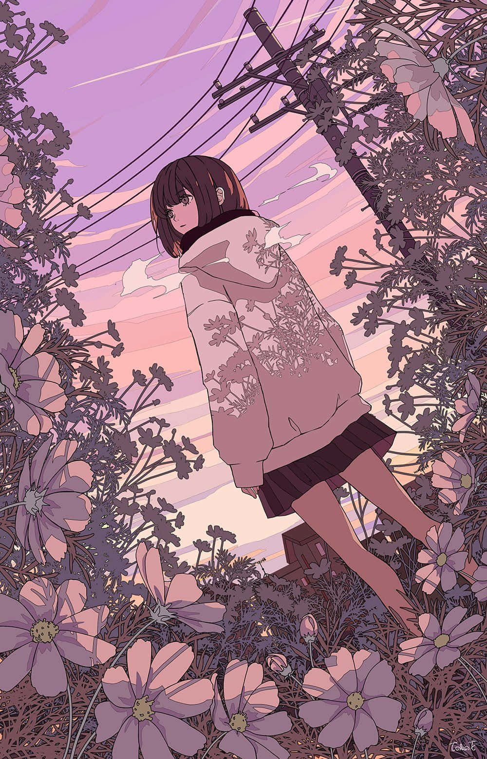 Beautiful Anime 桌布 壁紙 — 一個穿著花卉連帽衫的年輕女孩站在紫色波斯菊中，頭頂上是暮色天空和電線。