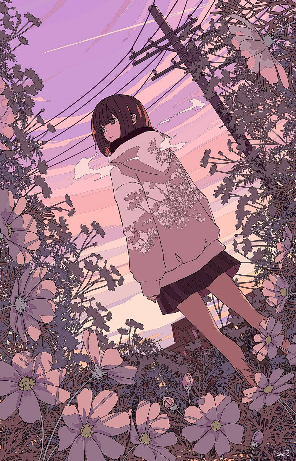 Digital 桌布 壁紙 — 一個穿著花卉連帽衫的年輕女孩站在紫色大波斯菊中，頭頂上是暮色天空和電線。