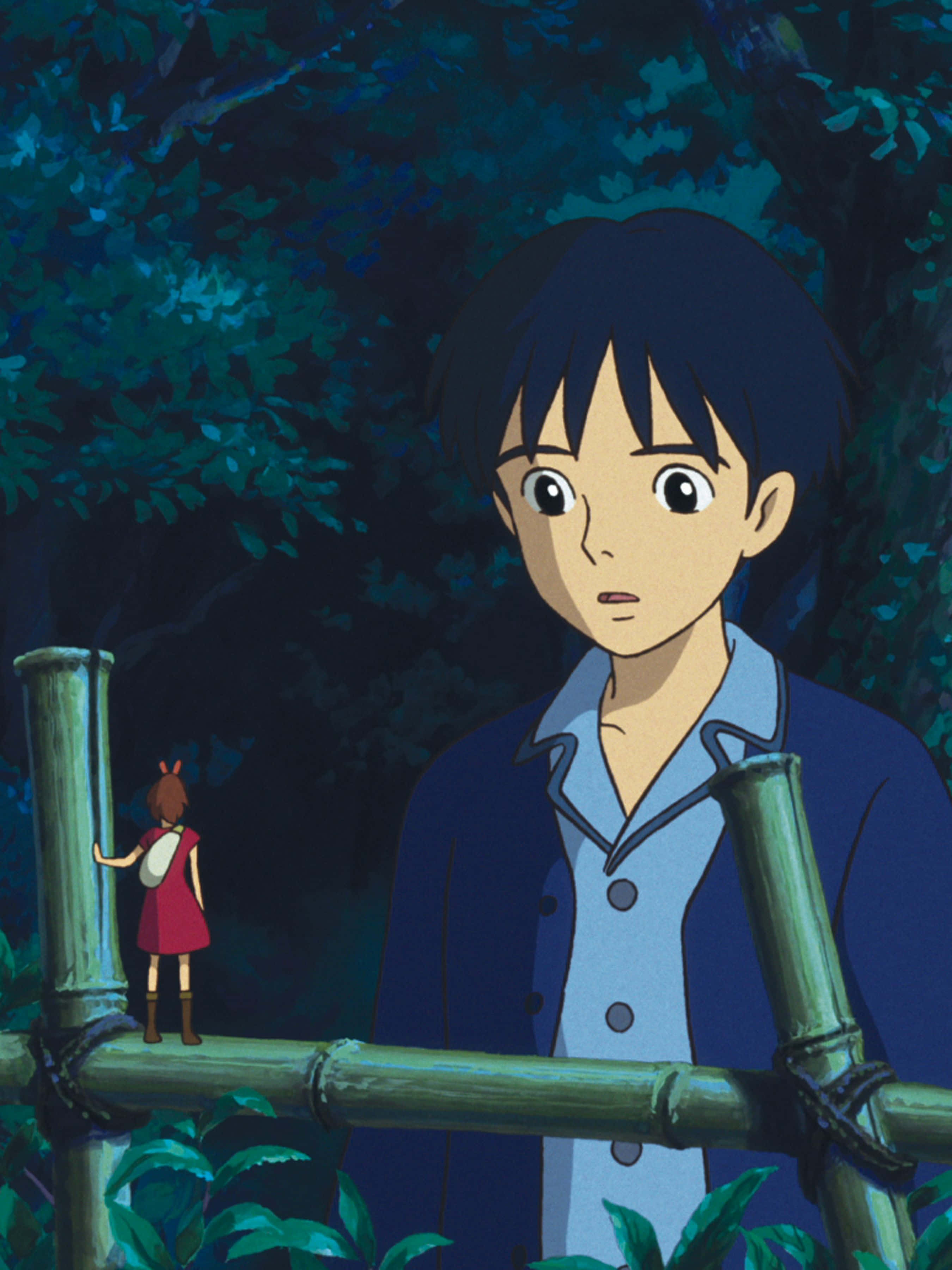 The Secret World Of Arrietty 桌布 壁紙 — 一個穿著藍色外套的男孩驚訝地凝視著一個穿著紅色連衣裙的小女孩站在黑暗森林的竹籬笆上。