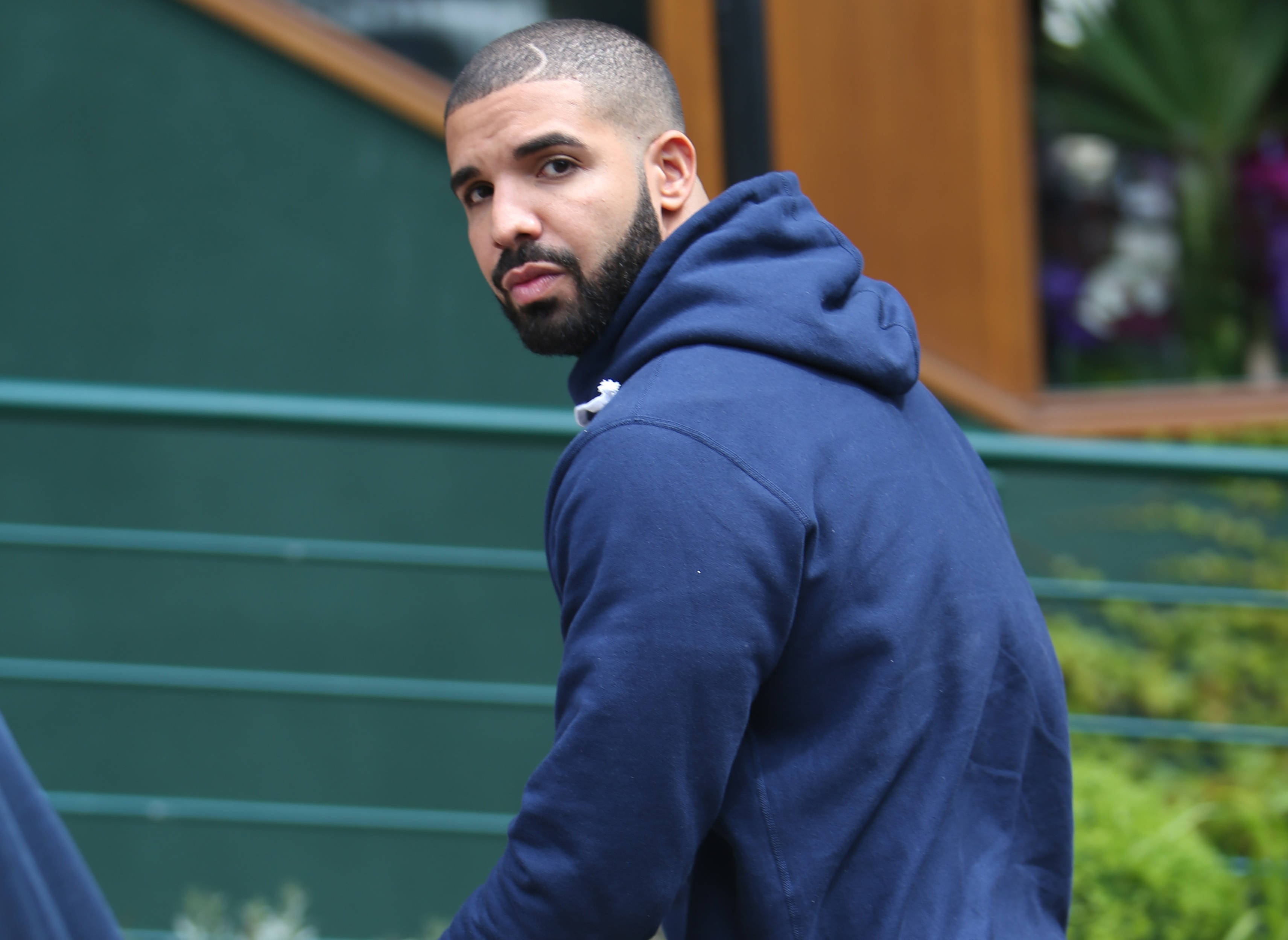 Drake 桌布 壁紙 — 一個穿著藍色連帽衫的男人轉頭越過肩膀，表情嚴肅，背景是綠色和木質的。