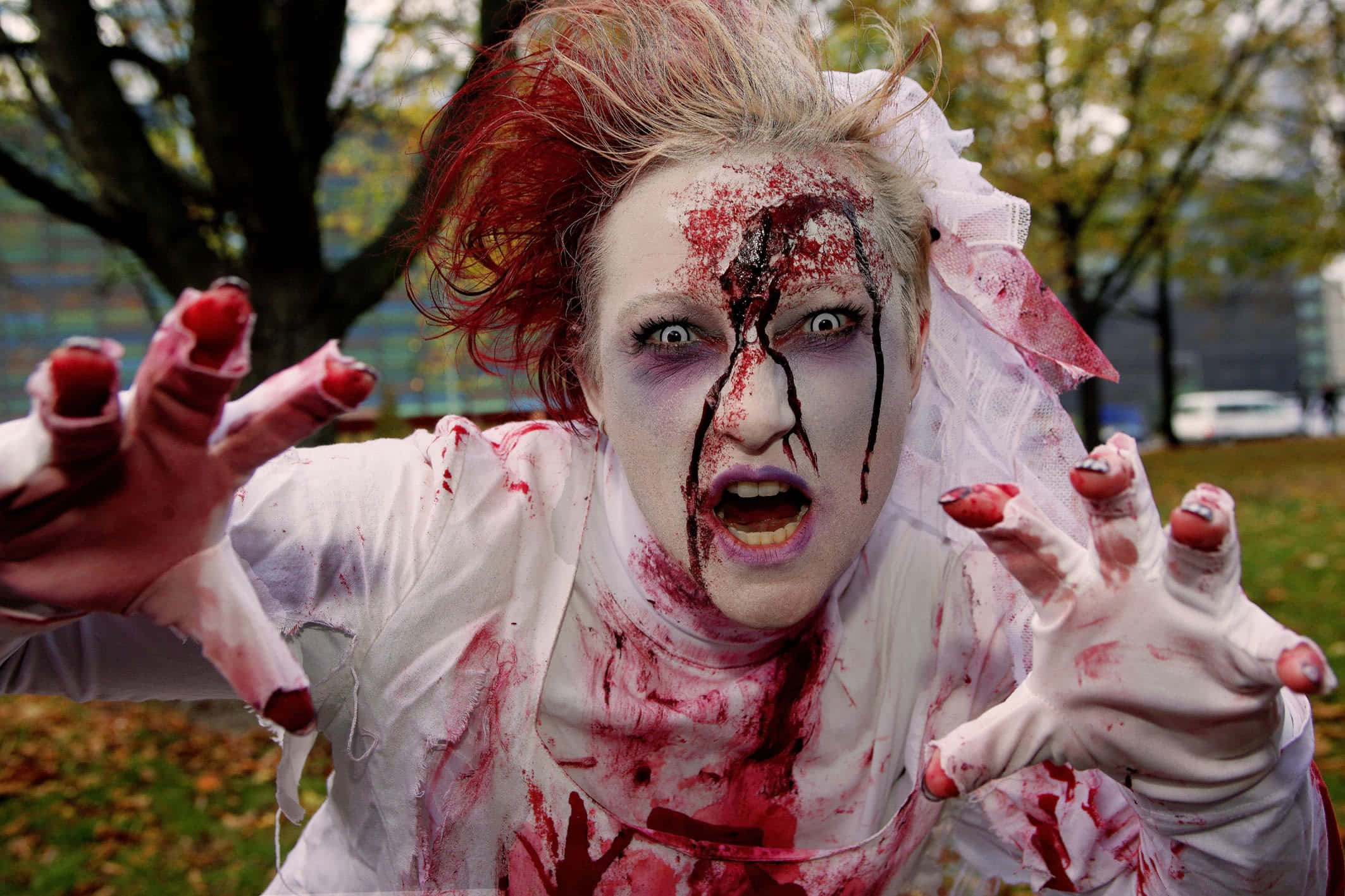 Zombie Apocalypse 桌布 壁紙 — 一個穿著血腥殭屍服裝的人，臉上和手上沾滿鮮血，在戶外公園向前撲去。