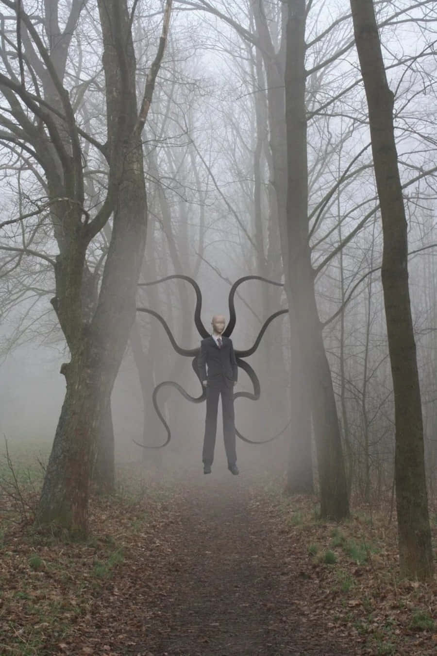 Creepypasta 桌布 壁紙 — 一個穿著西裝、長著黑色長觸手的高大男人，在一個有光禿樹木和落葉的霧氣森林中詭異地漂浮。