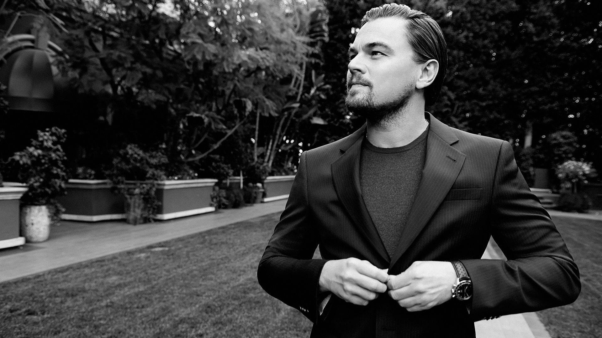 Dicaprio 桌布 壁紙 — 一個穿著西裝的男人在戶外扣上外套鈕扣，背景有樹木和花盆，黑白肖像照。