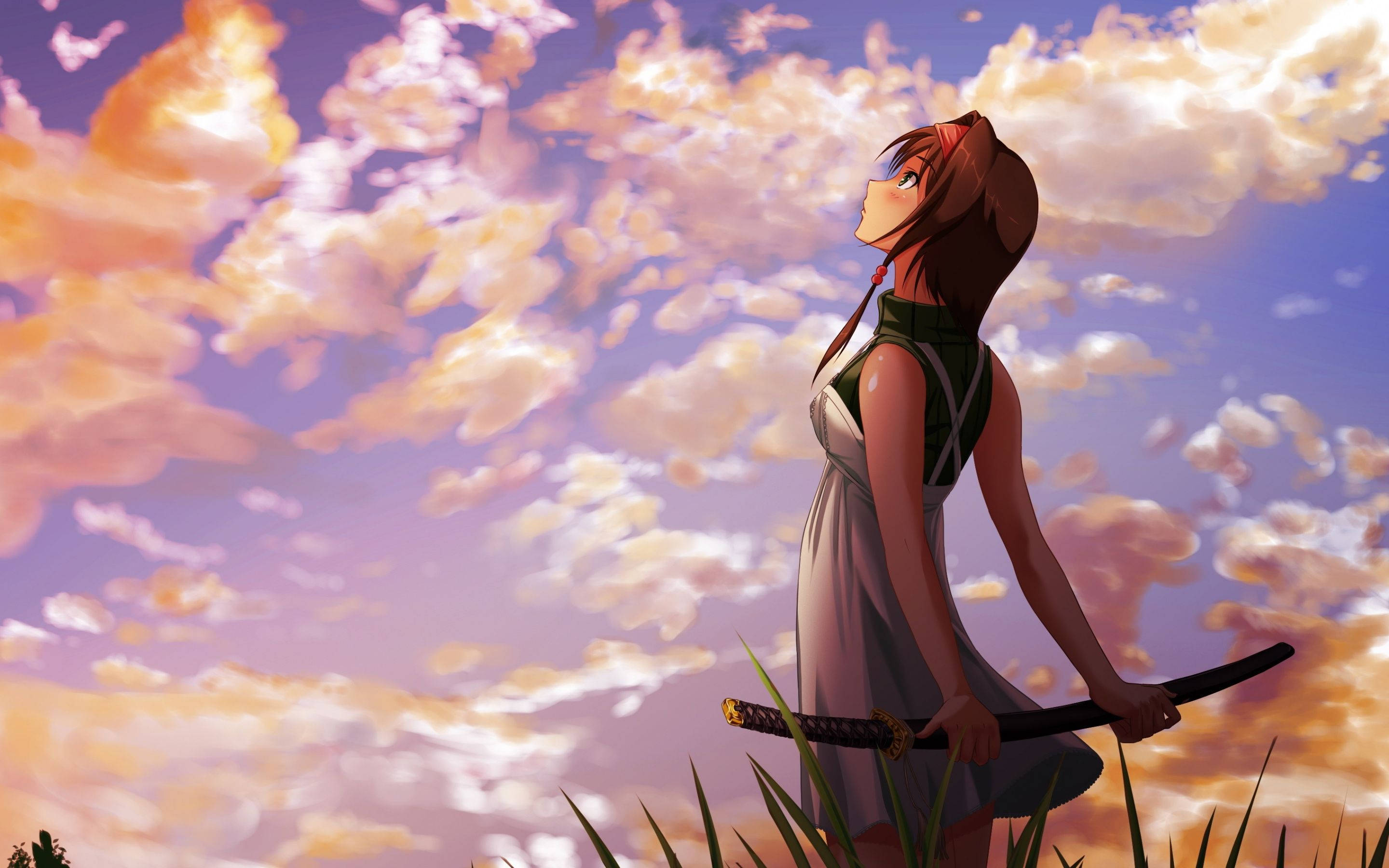 Girly Cartoon 桌布 壁紙 — 一個穿著連衣裙的年輕動漫女孩手持武士刀，仰望充滿橙色和紫色雲彩的鮮豔日落天空。