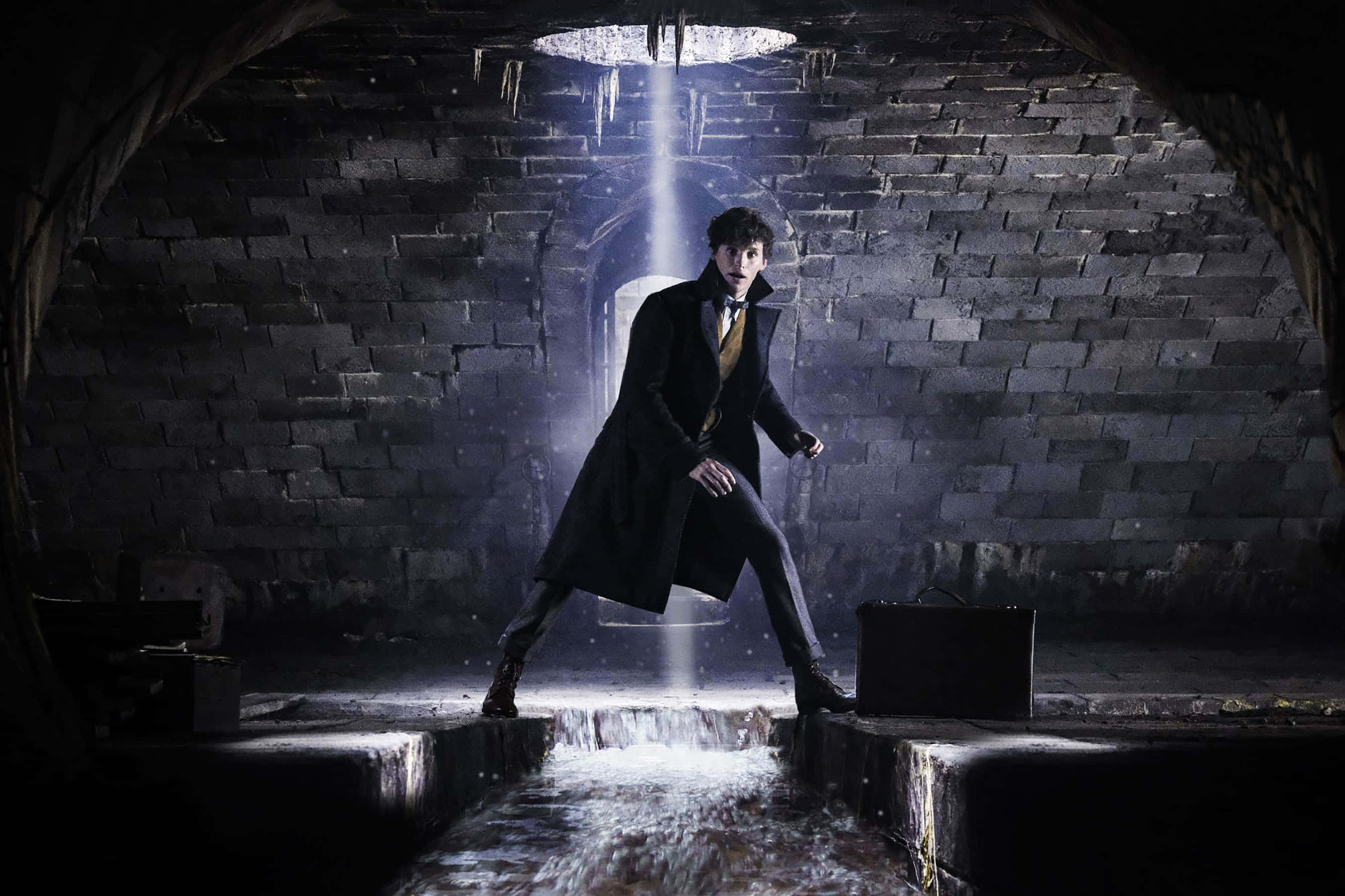 Fantastic Beasts 桌布 壁紙 — 一個穿著長外套的男人站在黑暗的石隧道中，一道光束從上方照亮了他。