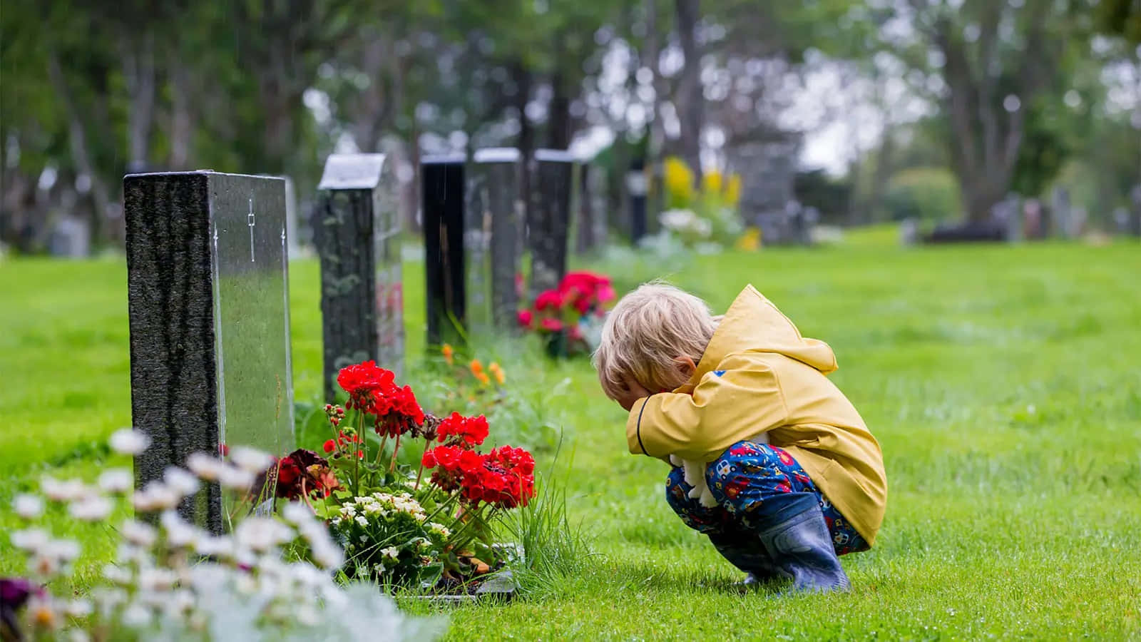 死亡 桌布 壁紙 — 一個穿著黃色外套的小孩跪在草地上，在墓園的墓碑前放置鮮花。