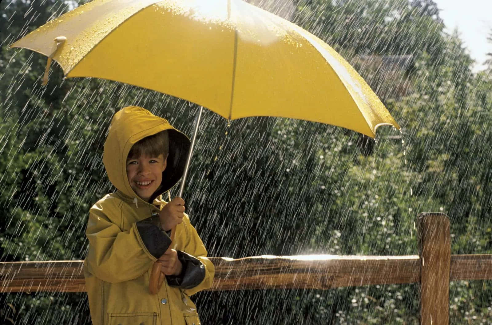 Raining 桌布 壁紙 — 一個穿著黃色雨衣和相配雨傘的開朗孩子，在木柵欄附近雨點灑落時燦爛地微笑。