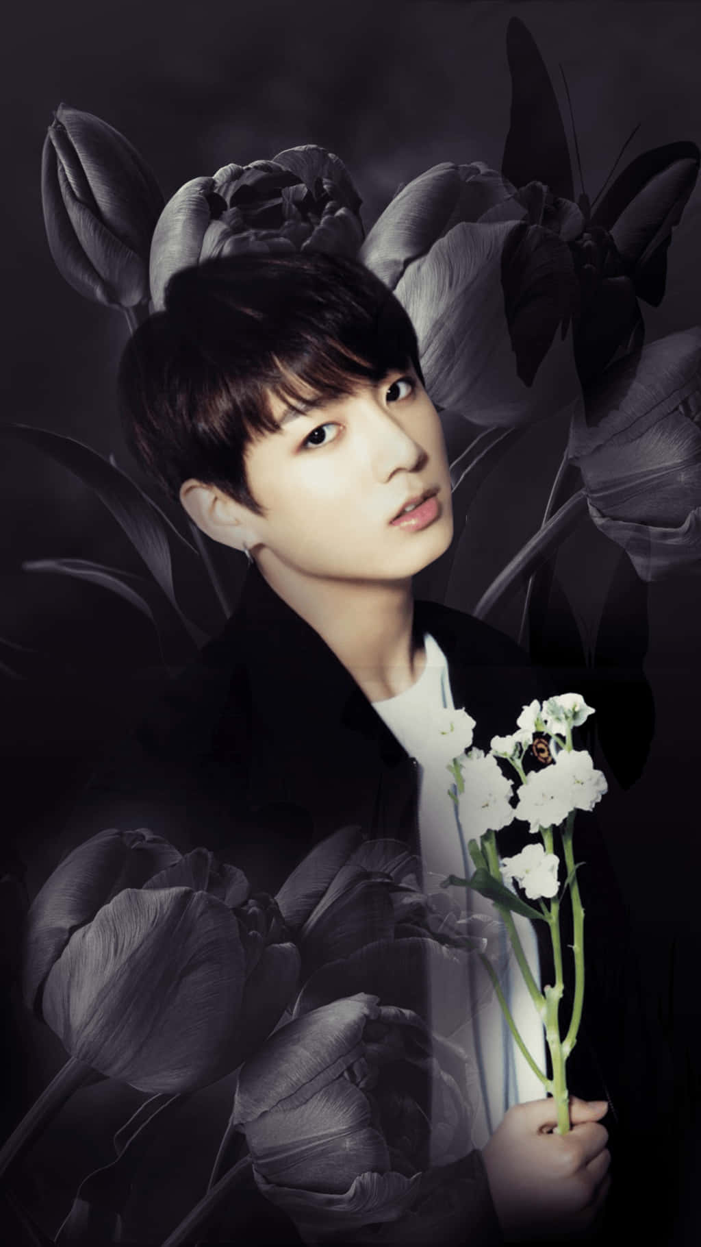 BTS 桌布 壁紙 — 一個穿著黑色外套的年輕男子，在深色背景下手持白色花朵，背景中有大型灰色鬱金香和蝴蝶。