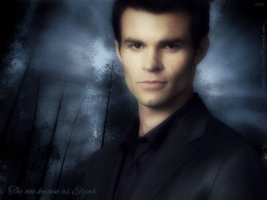 elijah mikaelson 桌布 壁紙 — 一個穿著黑色西裝的男人在陰沉天空下，以迷霧籠罩的黑暗森林為背景，莊嚴地站立。