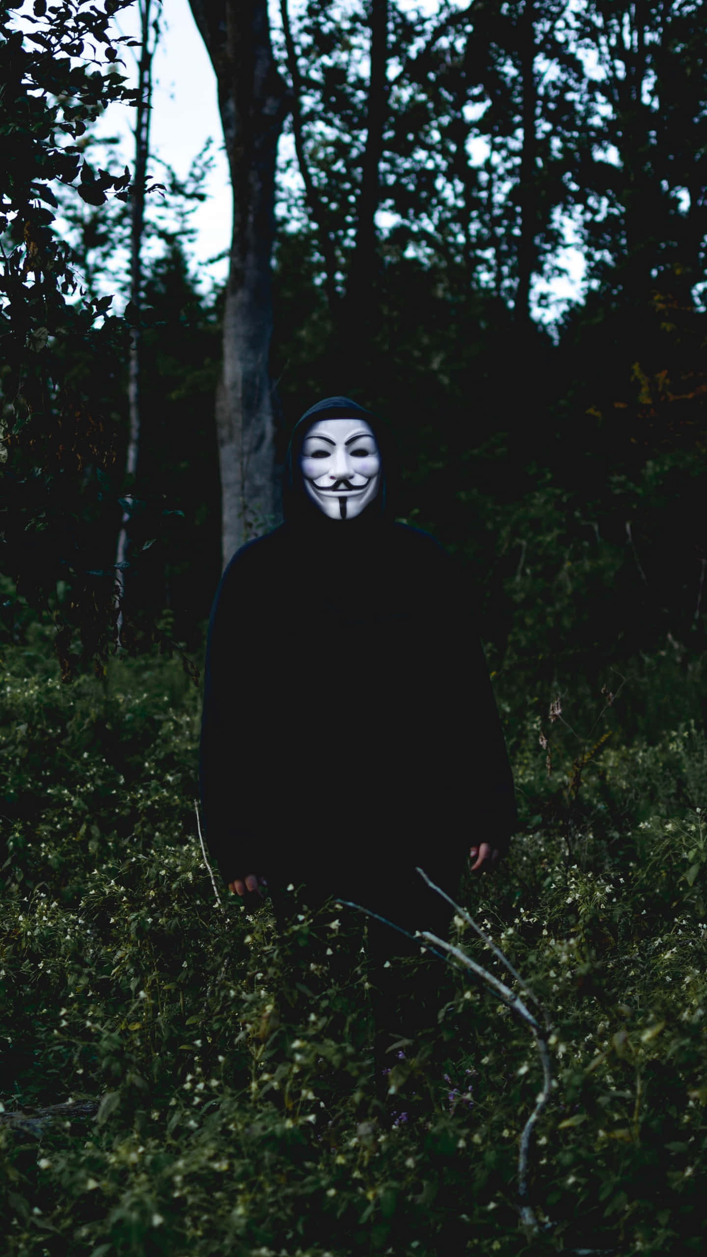 Mask 桌布 壁紙 — 一個穿著黑色連帽衫和白色蓋伊·福克斯面具的人，在黃昏時分莊嚴地站在昏暗的森林中。