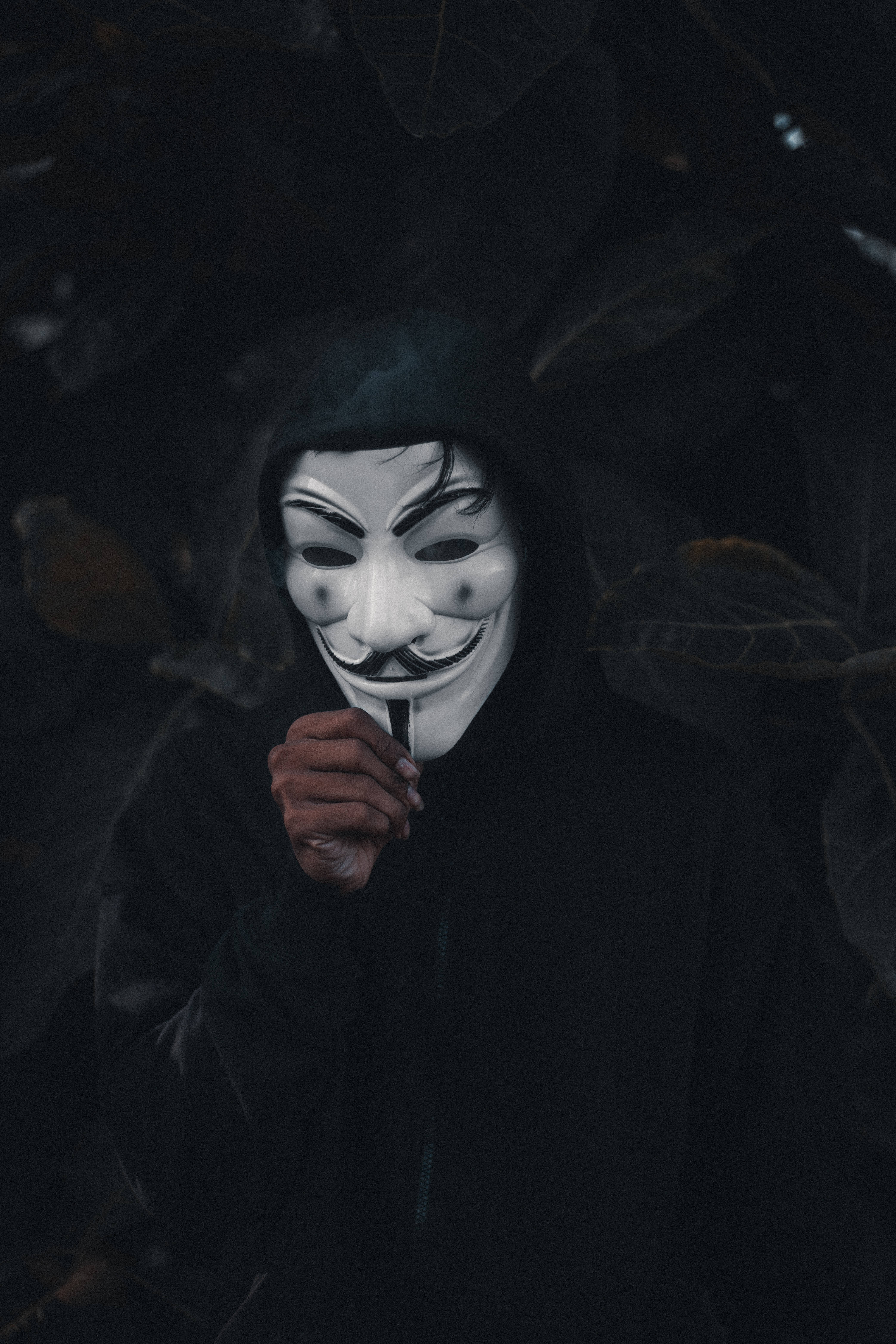 匿名 桌布 壁紙 — 一個穿著黑色連帽衫的人戴著白色蓋伊·福克斯面具，在黑暗的樹葉背景下拿著一支香煙。