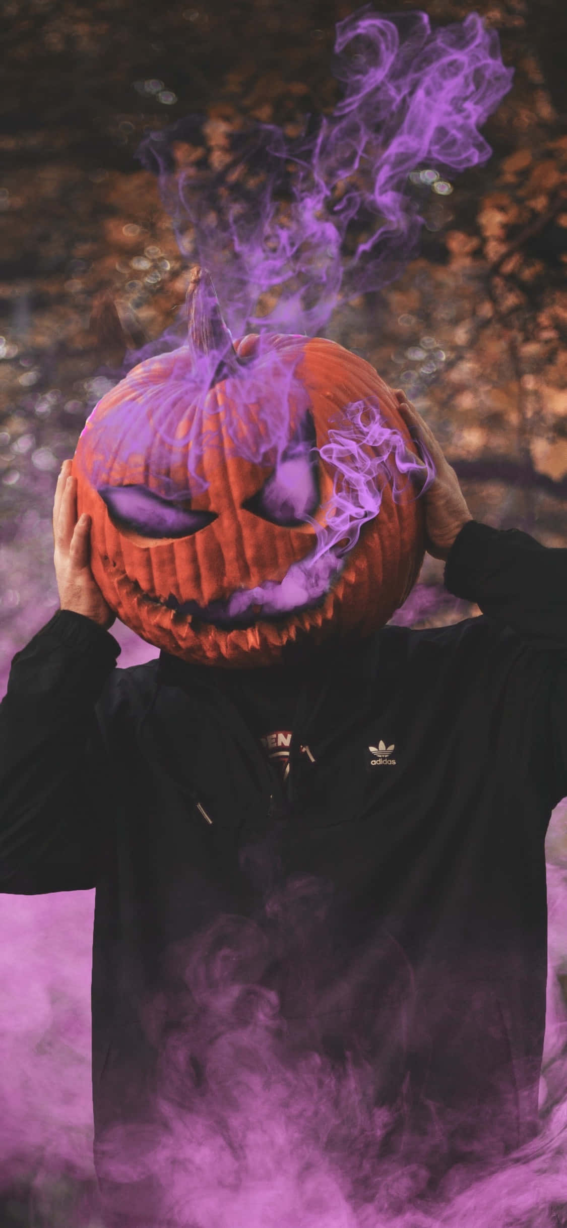 Jack O Lantern 桌布 壁紙 — 一個穿著黑色連帽衫的人拿著一個雕刻的南瓜頭，散發出旋轉的紫色煙霧，背景是模糊的秋天景色。