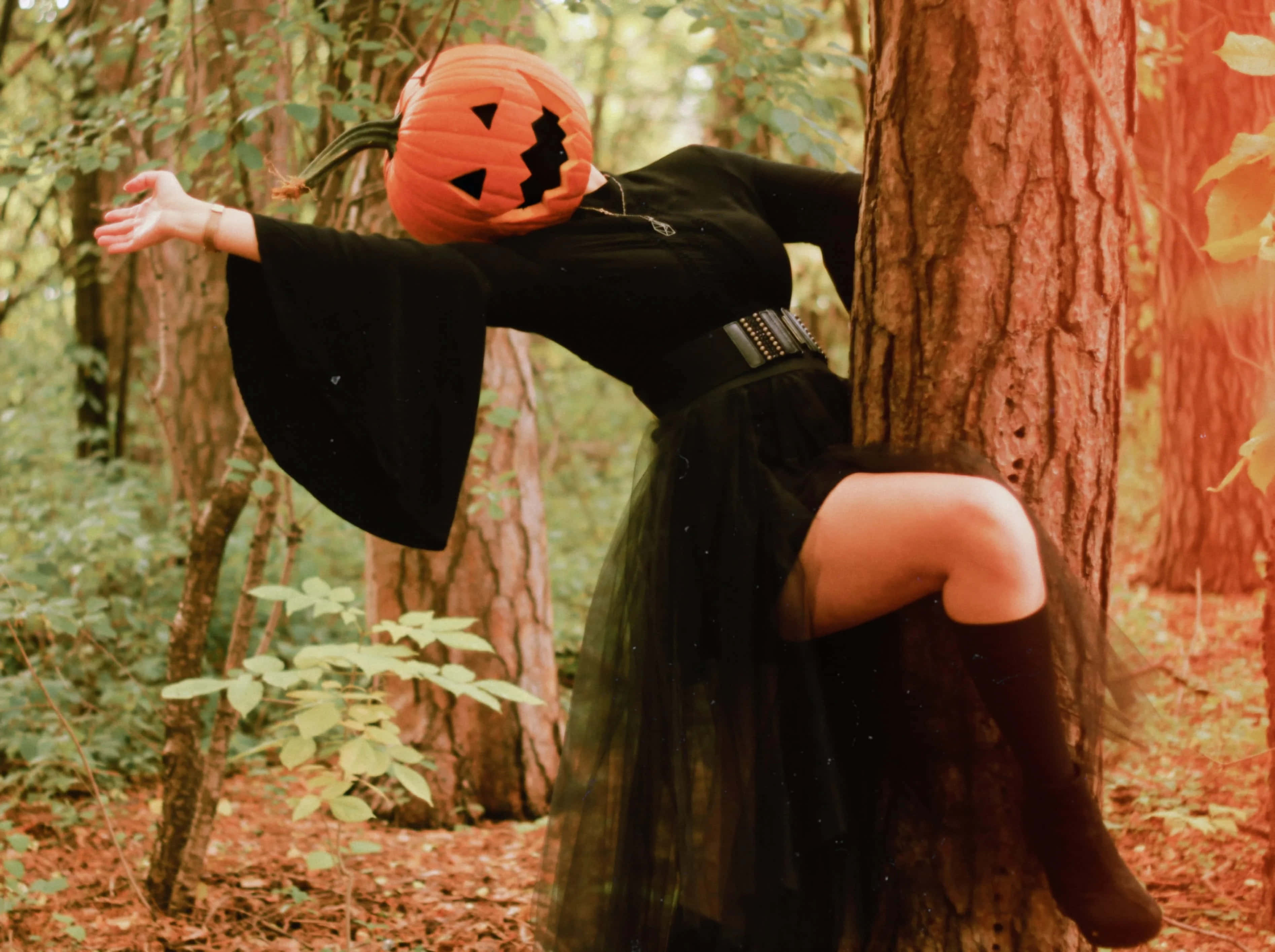 Halloween Pumpkin 桌布 壁紙 — 一個穿著黑色連衣裙的人靠在森林裡的樹上，戴著南瓜頭慶祝萬聖節。