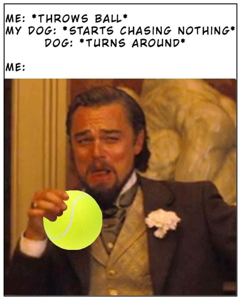 Memes 桌布 壁紙 — 一個穿西裝的男人拿著網球，表情困惑，文字描述一隻狗追著什麼都沒有然後轉身。