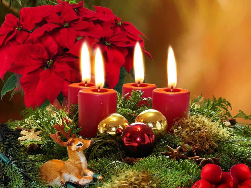 Advent 桌布 壁紙 — 一個節日佈置，包含發光的紅色蠟燭、鮮豔的聖誕紅，以及一隻小鹿雕像藏在常綠樹枝和裝飾品之間。