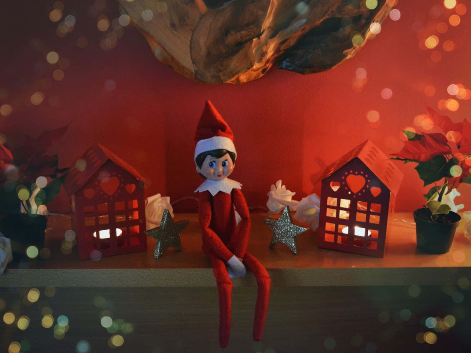 Elf On The Shelf 桌布 壁紙 — 一個節日小精靈公仔坐在發光的紅色燈籠和聖誕紅之間，背景是溫暖的散景光暈。