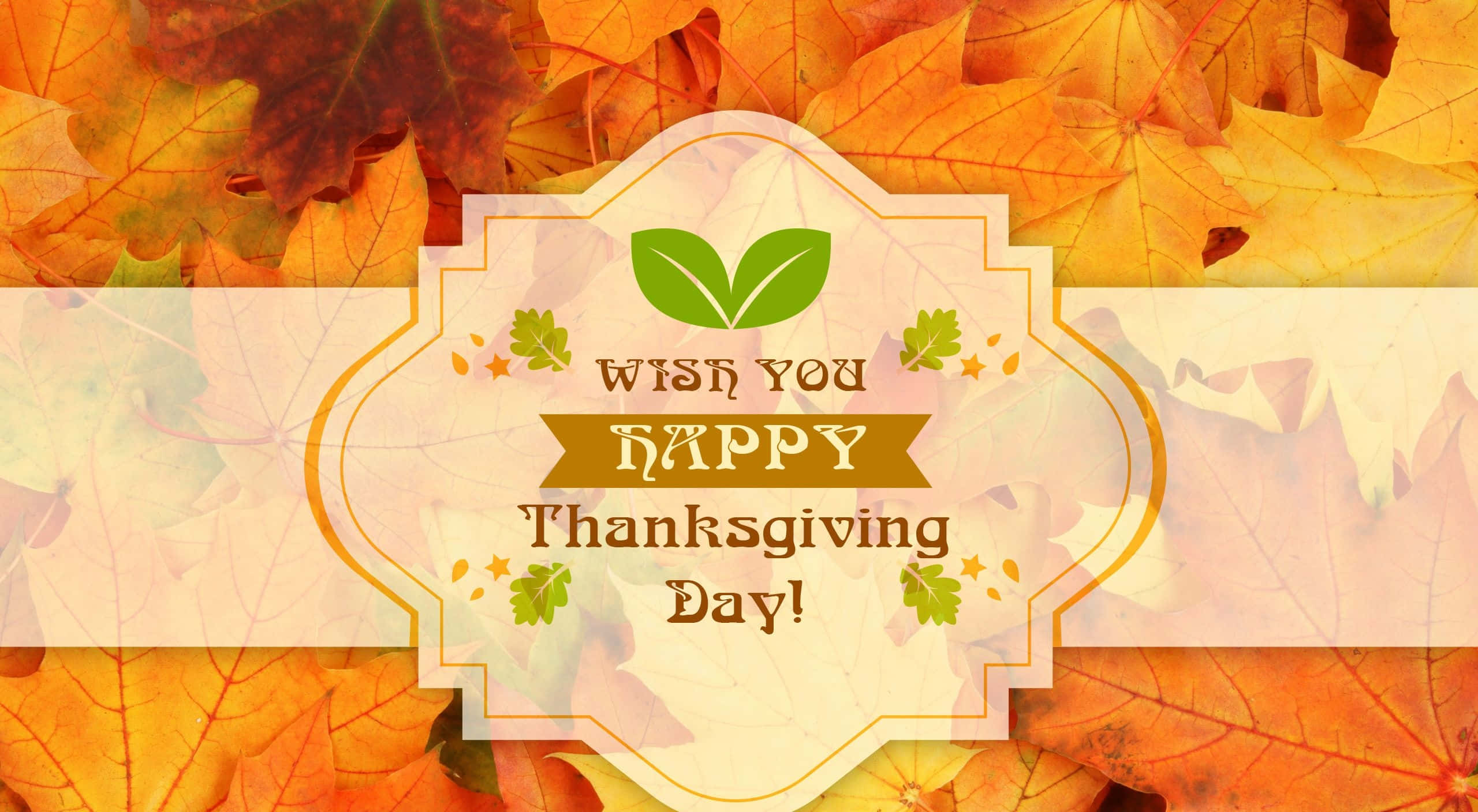 Happy Thanksgiving 桌布 壁紙 — 一個節日感恩節問候，以溫暖橙色和金色色調的鮮豔秋葉框住。