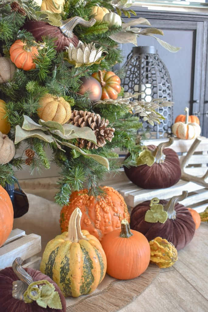 Fall Thanksgiving 桌布 壁紙 — 一個節日氣氛的秋季佈置，用南瓜、松果和綠色植物裝飾在燈籠旁邊的木質表面上。
