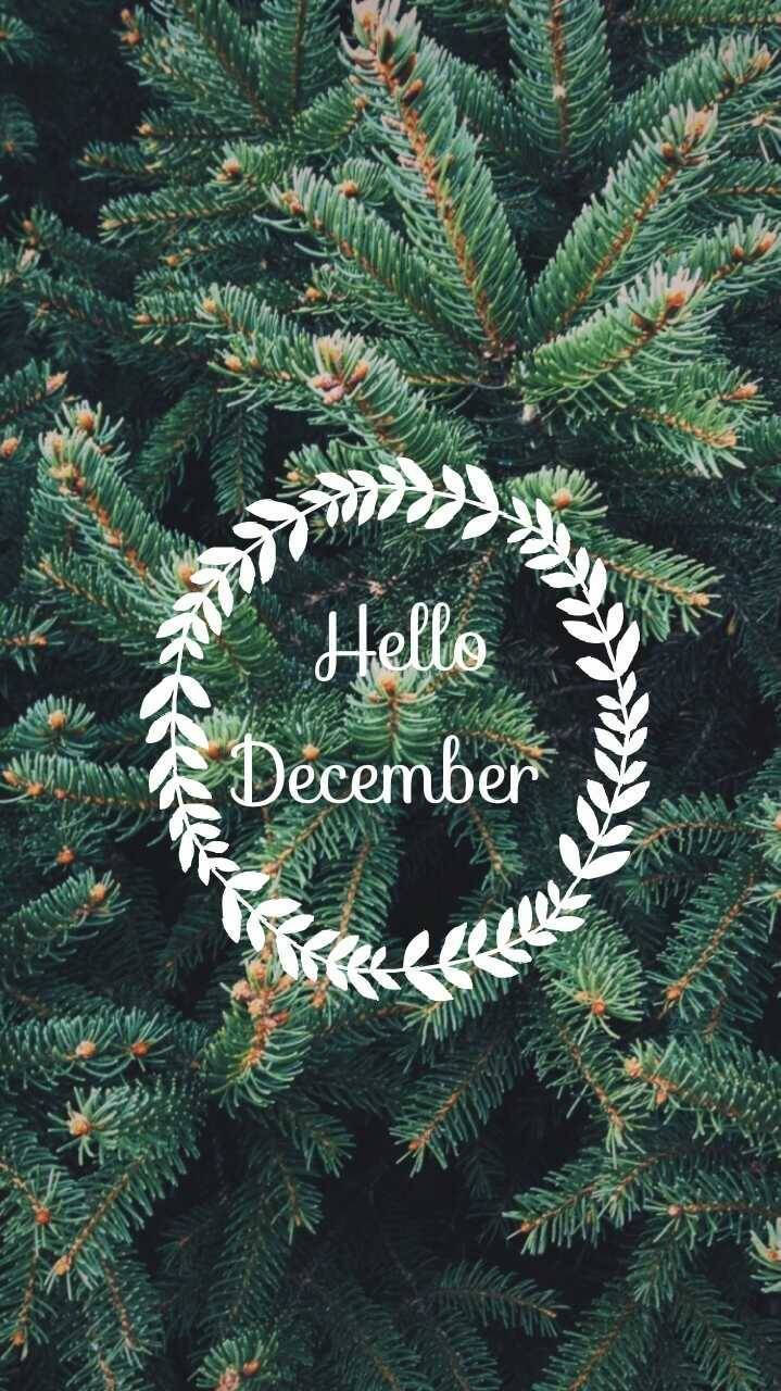 聖誕樹動畫 桌布 壁紙 — 一個節日白色月桂花環，中央有「Hello December」文字，背景是深綠色松針的特寫。