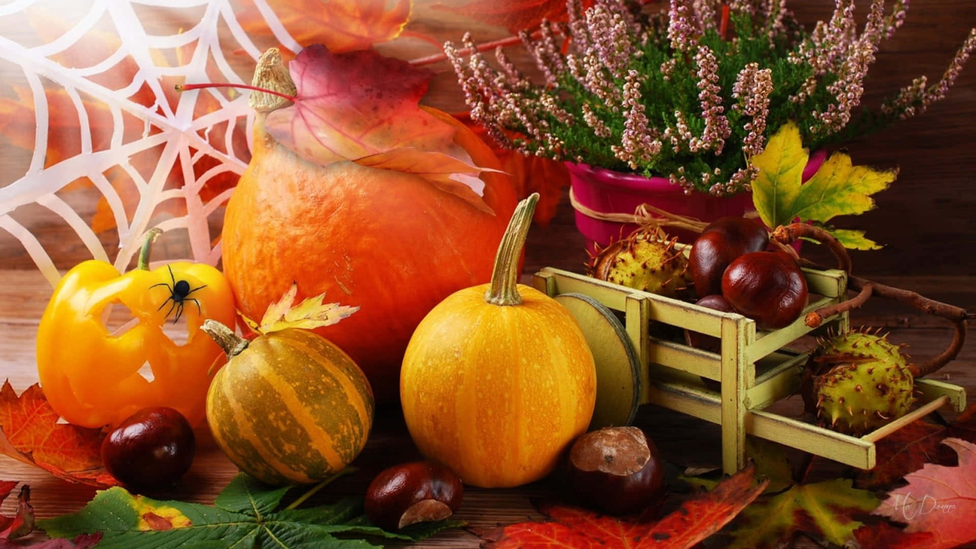 Autumn Bounty 桌布 壁紙 — 一個節日秋季靜物，南瓜、栗子和蜘蛛網裝飾擺放在木質表面上。
