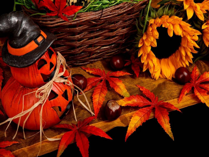Fall 桌布 壁紙 — 一個節日秋季靜物，木質表面上有一個雕刻的南瓜戴著女巫帽，旁邊有向日葵和鮮紅色的楓葉。
