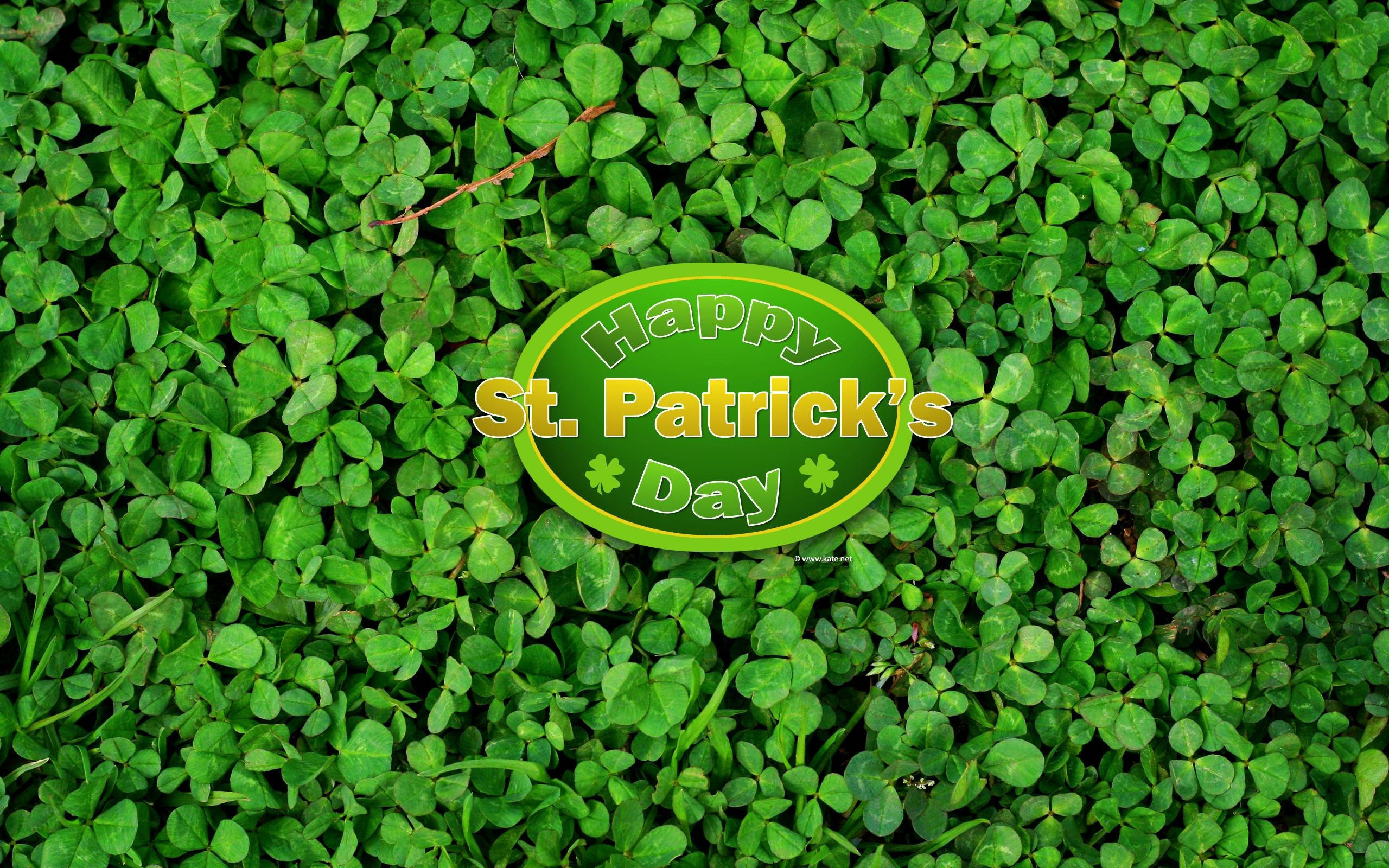 St Patrick's Day 桌布 壁紙 — 一個節日綠色橢圓形標誌，上面寫著「Happy St. Patrick's Day」並有三葉草圖案，放置在茂密的三葉草葉片之上。