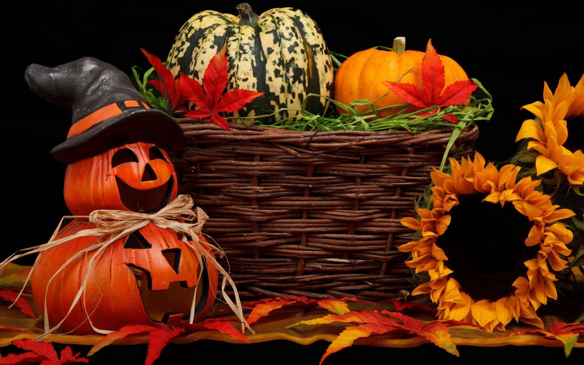 Cute Aesthetic Halloween 桌布 壁紙 — 一個節日萬聖節佈置，以堆疊的傑克南瓜燈、南瓜、向日葵和秋葉為特色，背景為黑色。