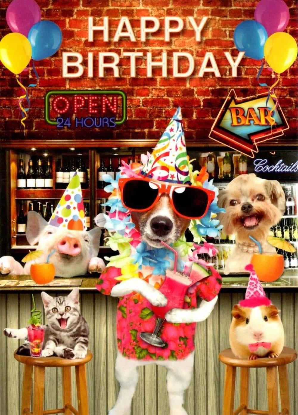 Birthday Celebration 桌布 壁紙 — 一個節日酒吧場景，有擬人化的動物戴著派對帽和太陽眼鏡，用雞尾酒和氣球慶祝生日。