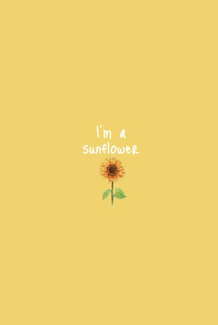 Sunflower Yellow Tumblr Aesthetic 桌布 壁紙 — 一個簡單的向日葵插圖，中心位置有手寫文字「我是一朵向日葵」，背景為純黃色。