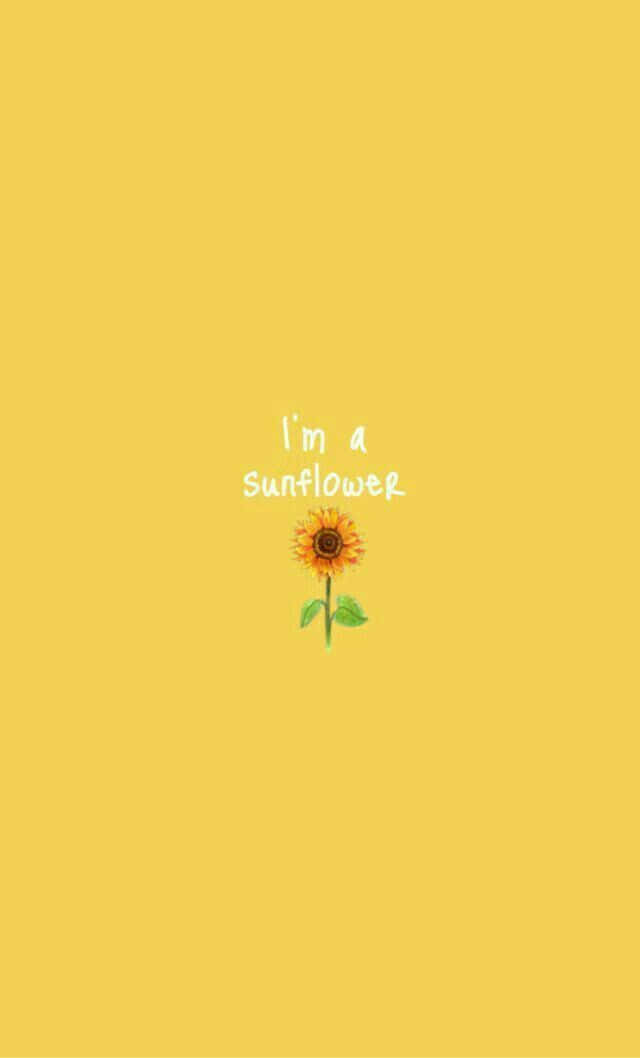 Retro Yellow 桌布 壁紙 — 一個簡單的向日葵插圖，手寫文字「i'm a sunflower」居中在純黃色背景上。