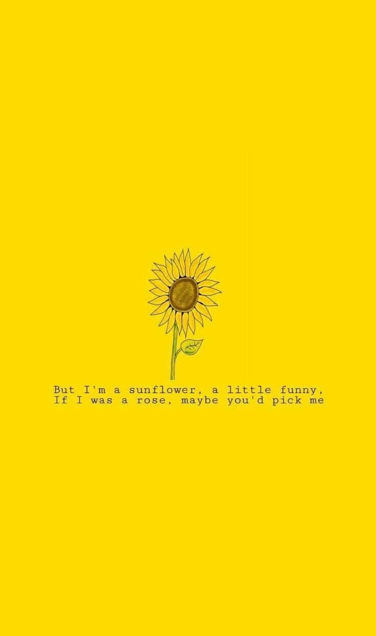 Sunflower Quotes 桌布 壁紙 — 一個簡單的向日葵插圖，置於明亮的黃色背景中央，下方附有詩意的引言。