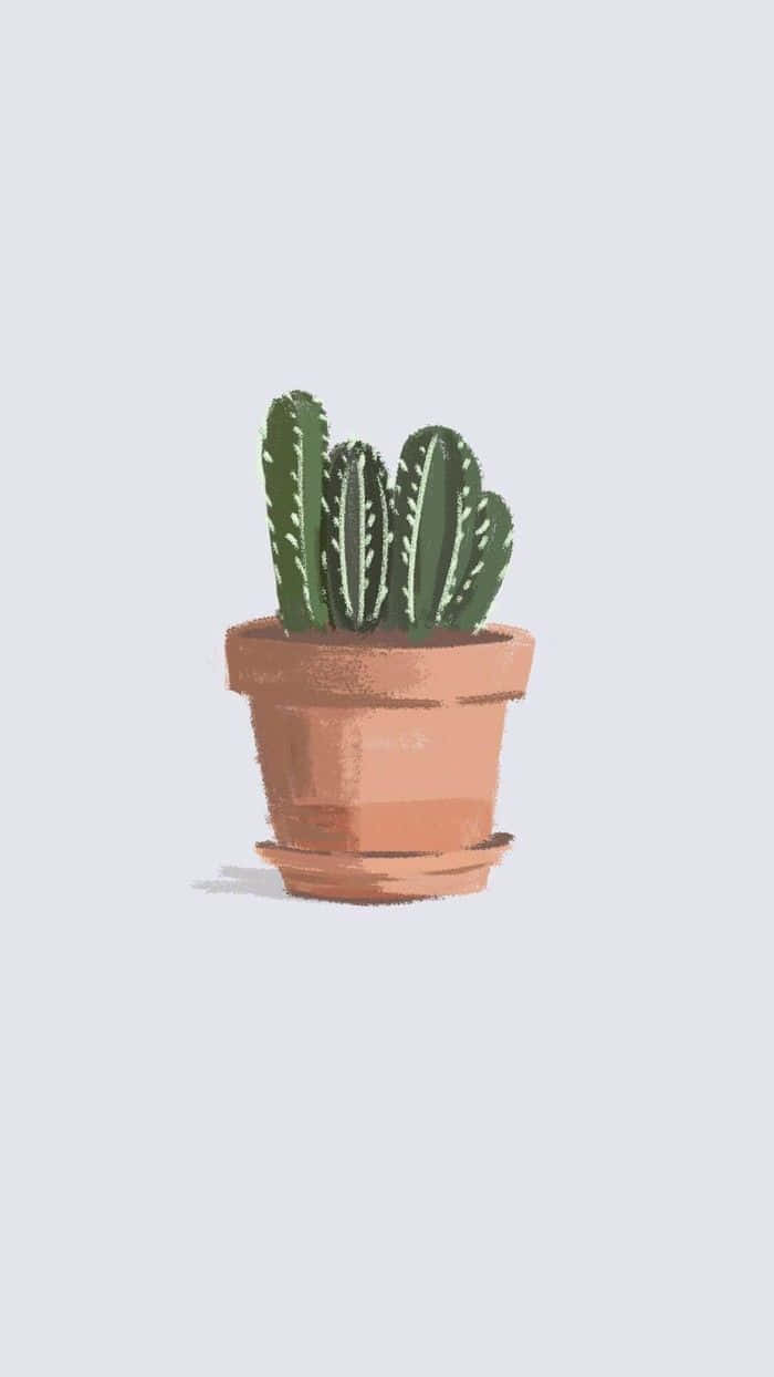 Cactus 桌布 壁紙 — 一個簡單的赤陶盆，在柔和的灰色背景上，種植著一棵帶有白色刺的綠色仙人掌。