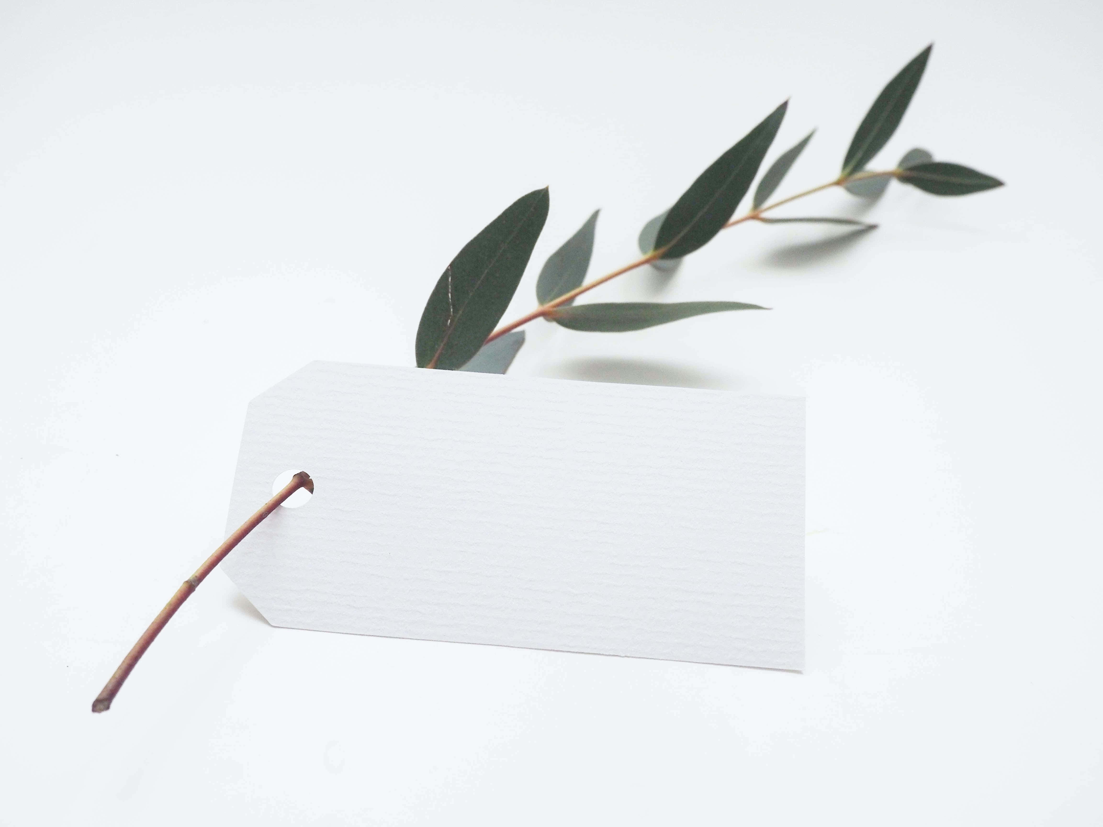 paper 桌布 壁紙 — 一個簡約白色標籤帶有細微紋理，旁邊放著新鮮的尤加利樹枝，背景為純白色。
