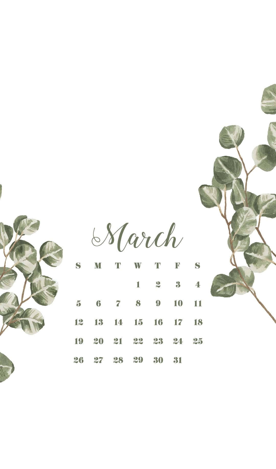 March 桌布 壁紙 — 一個簡約的三月日曆，以柔和的綠色調中精緻的桉樹枝條框在乾淨的白色背景上。