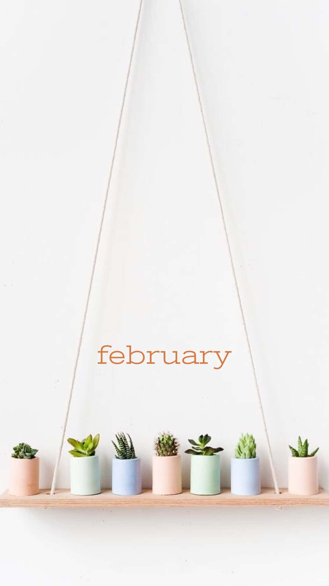 February iPhone 桌布 壁紙 — 一個簡約的懸掛木架，上面有柔和色調的多肉植物盆栽，以及橙色字樣的february，背景為白色牆壁。