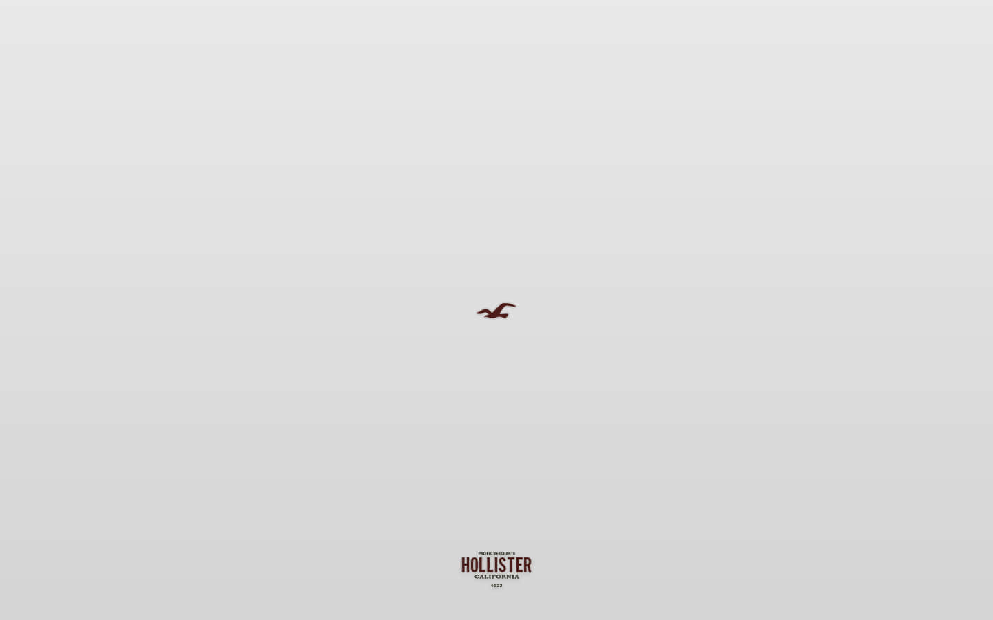 hollister 桌布 壁紙 — 一個簡約的灰色背景，上面有一個細小的棕色鳥標誌，居中在Hollister品牌標記上方。