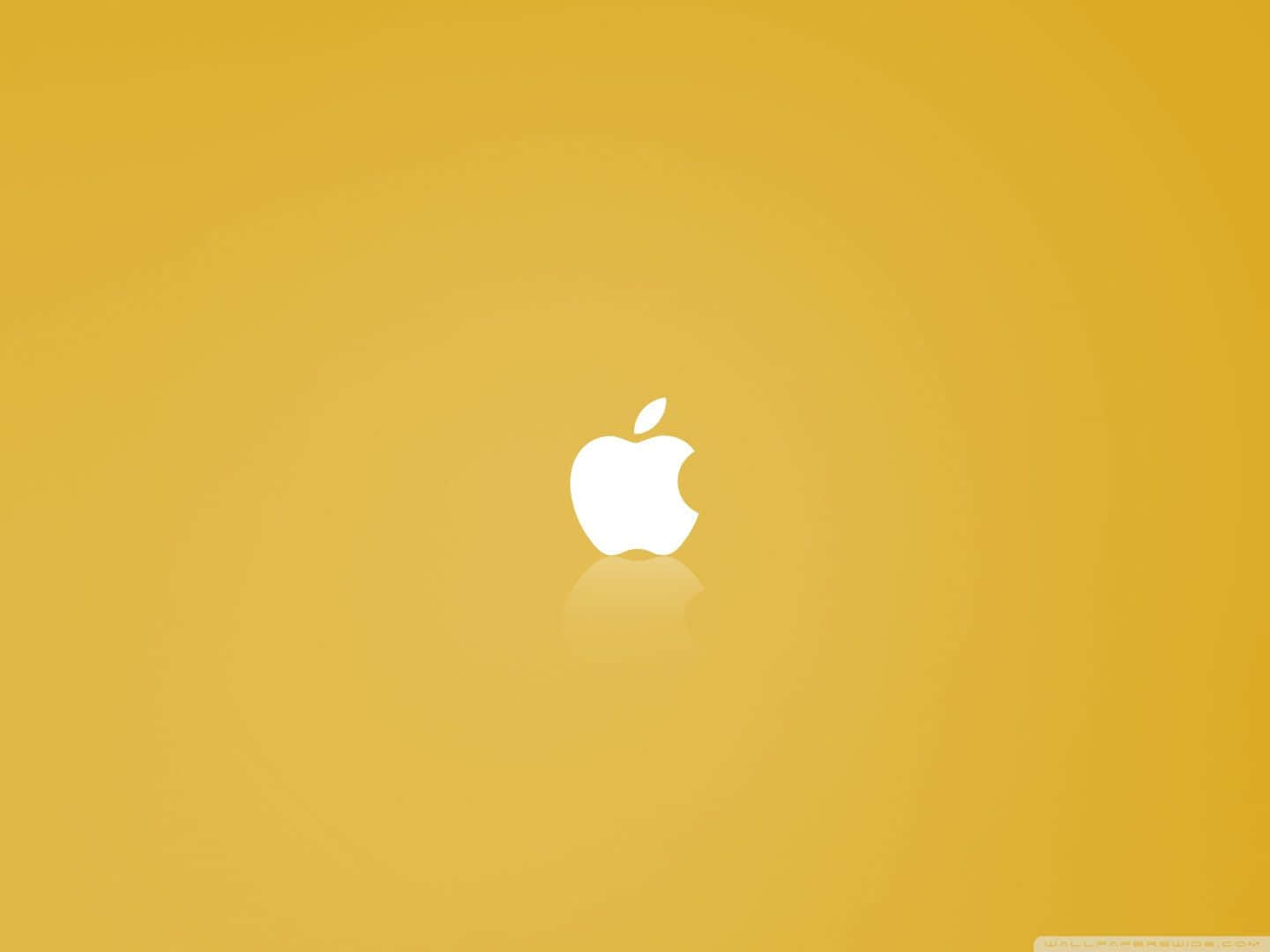 蘋果 桌布 壁紙 — 一個簡約的白色Apple標誌，置中於溫暖的金色漸變背景上，帶有柔和反射。