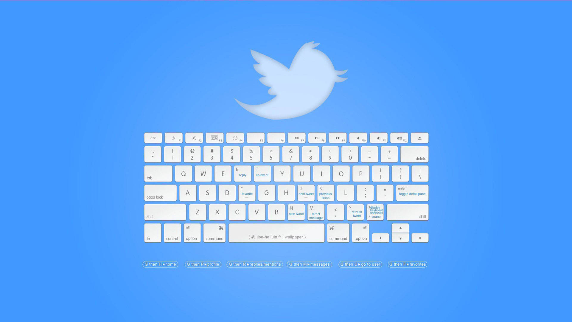 Social 桌布 壁紙 — 一個簡約的白色Twitter鳥標誌懸浮在純藍色背景的鍵盤上方。