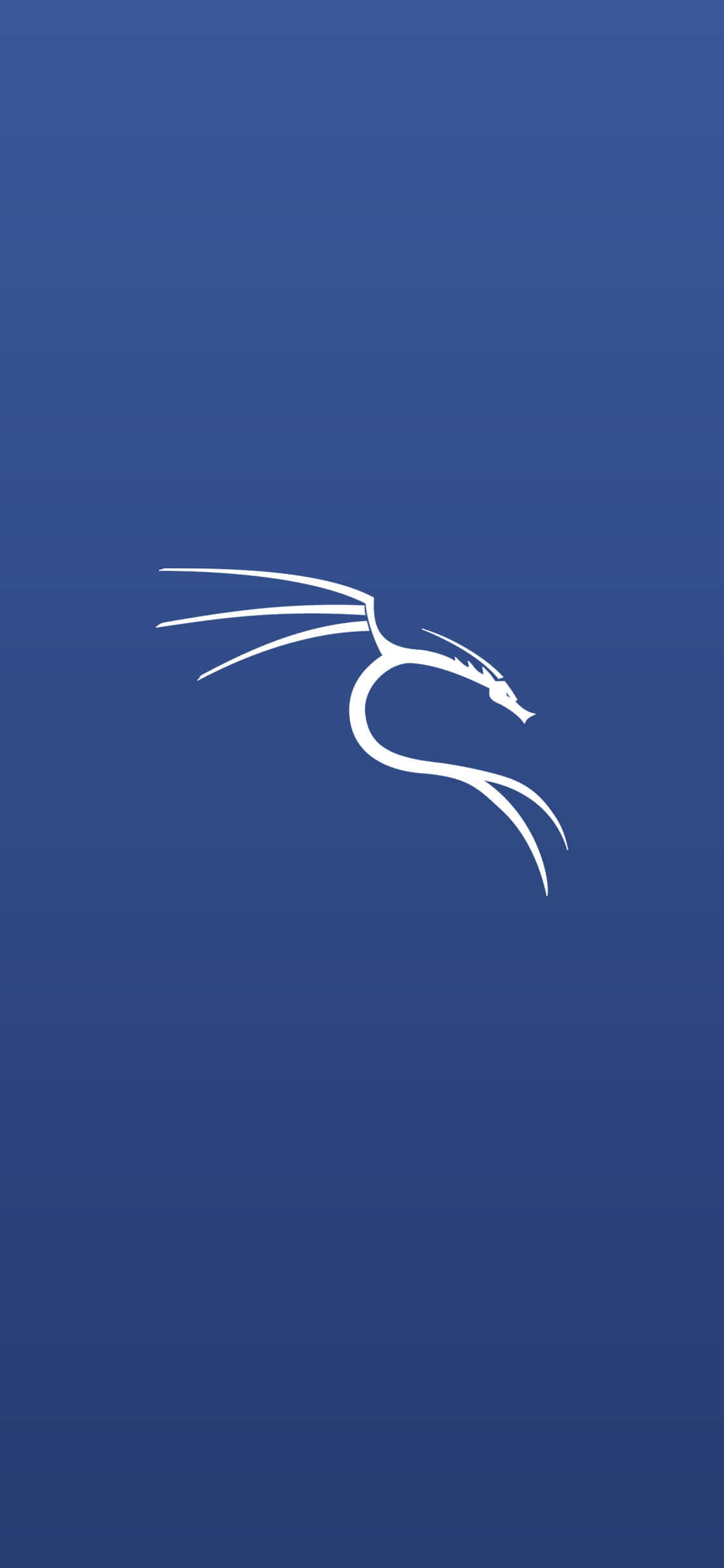 Kali Linux 桌布 壁紙 — 一個簡約的白色龍標誌，優雅地彎曲在漸變藍色背景上。