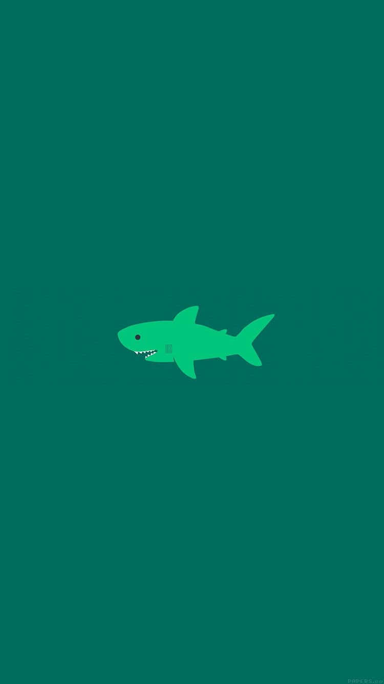 藍綠色背景上的一個綠色鯊魚圖示。 — 深綠色動畫 壁紙