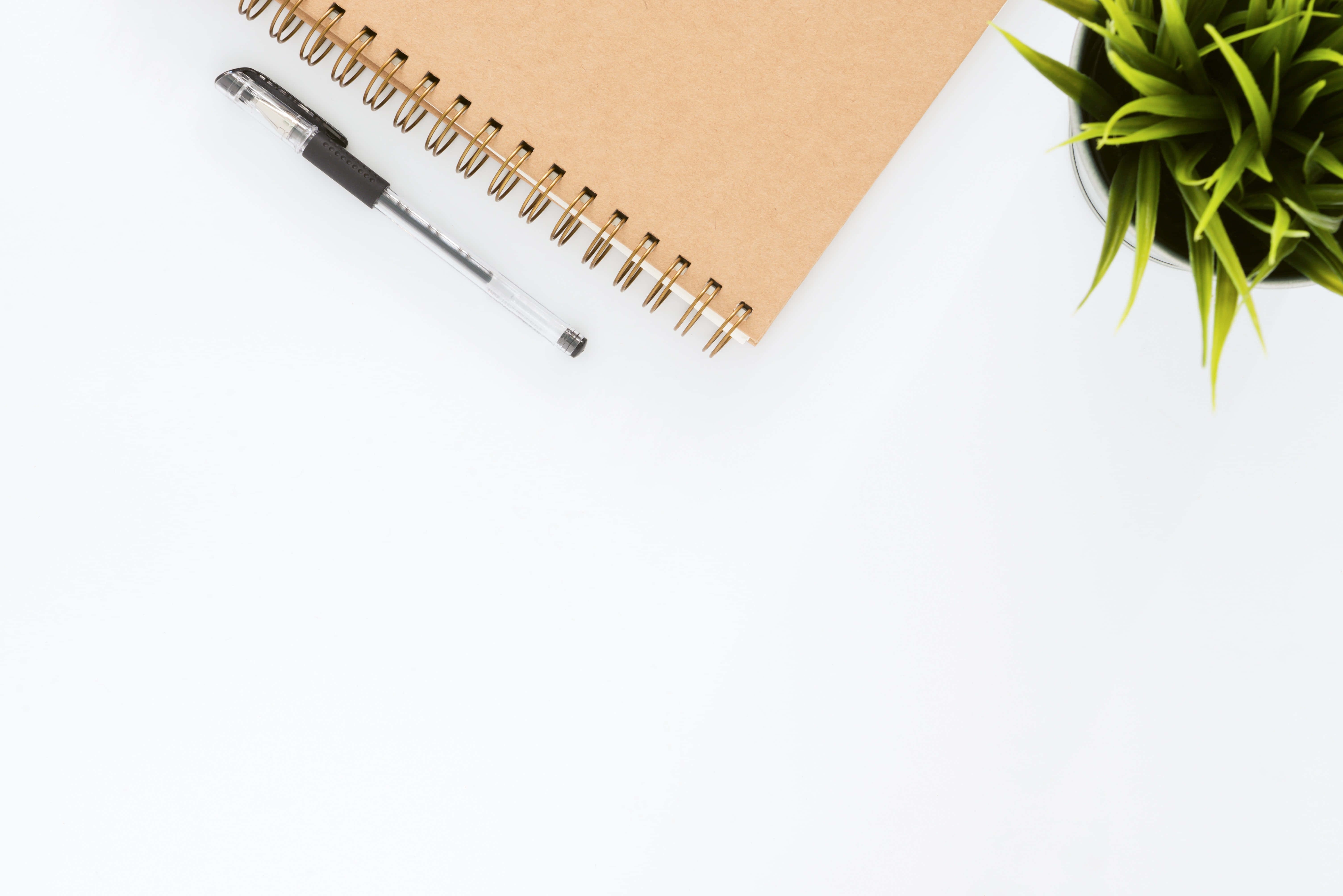Notebook 桌布 壁紙 — 一個簡約的辦公桌設置，配有螺旋筆記本、筆和綠色植物，放在乾淨的白色表面上。