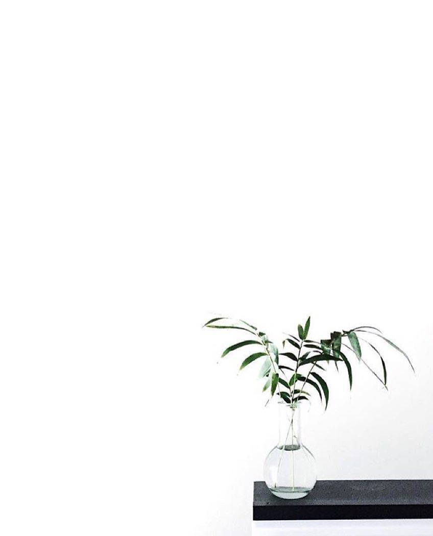 Plant Aesthetic 桌布 壁紙 — 一個簡約的透明玻璃花瓶，插著細長的綠葉，放在白色牆壁前的黑色架子上。