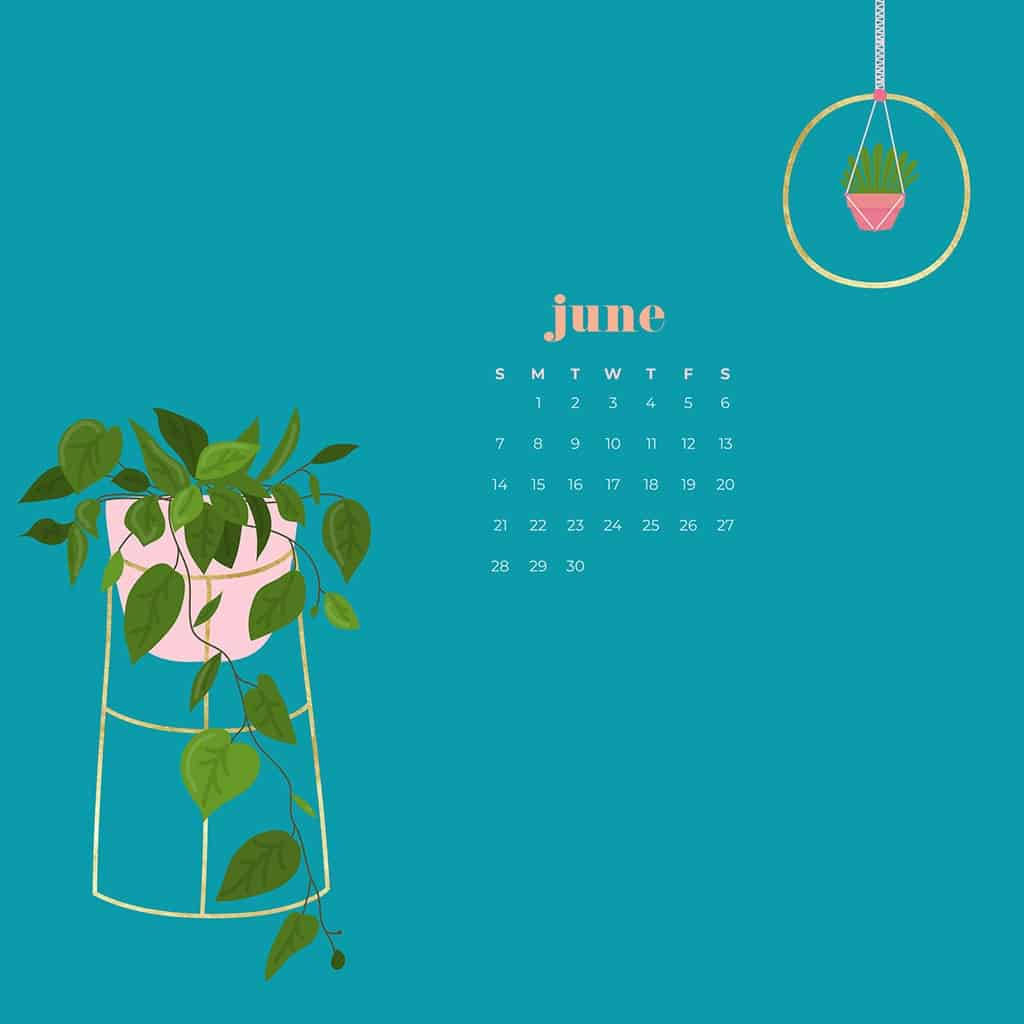 June 桌布 壁紙 — 一個簡約風格的六月日曆，在青綠色背景上有兩盆盆栽植物。