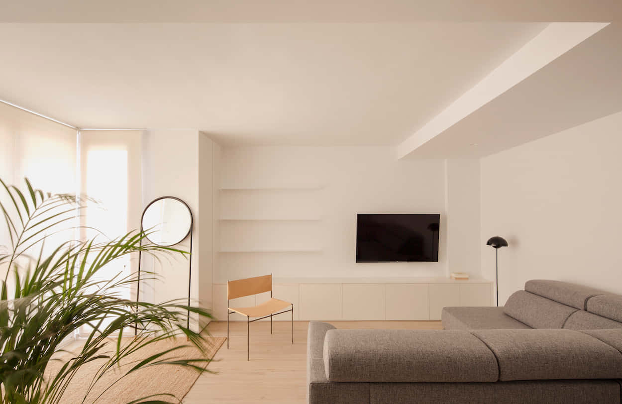 Living Room 桌布 壁紙 — 一個簡約風格的客廳，配有灰色沙發、木椅和大型綠色植物，在柔和自然光下。