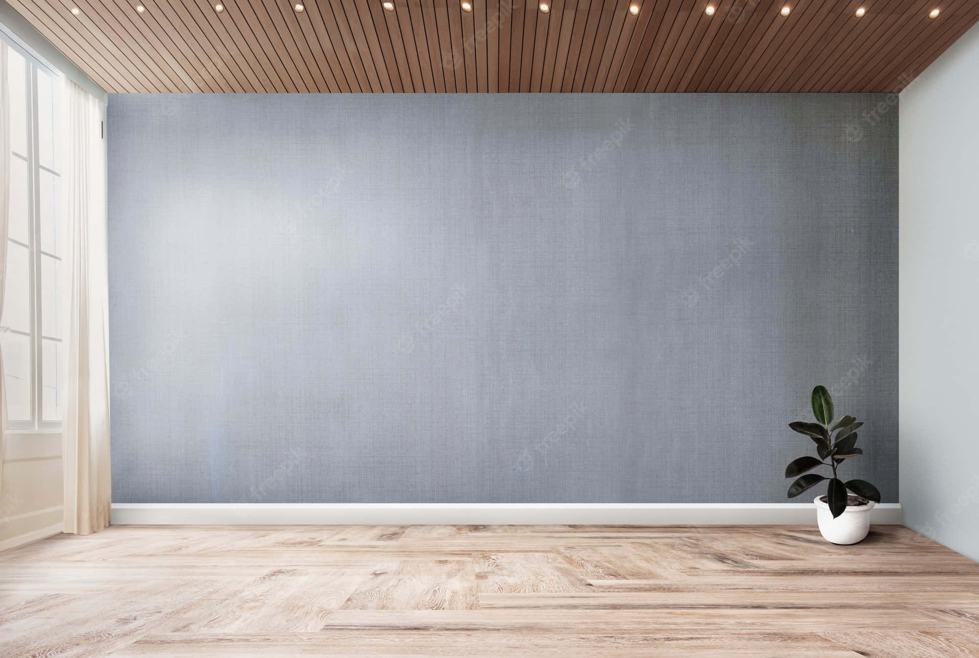 Empty Room 桌布 壁紙 — 一個簡約風格的房間，鋪有淺色木地板和天花板，一面大型灰色紋理牆壁，窗邊有一盆盆栽植物。