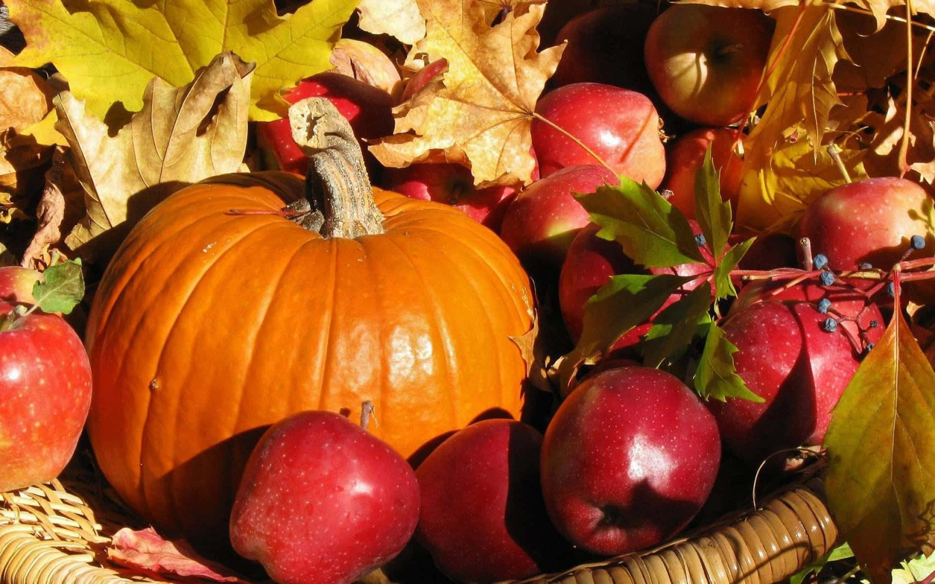 Fall Harvest 桌布 壁紙 — 一個籃子裝滿了鮮豔的橙色南瓜和光澤的紅蘋果，依偎在金黃色的秋葉中。